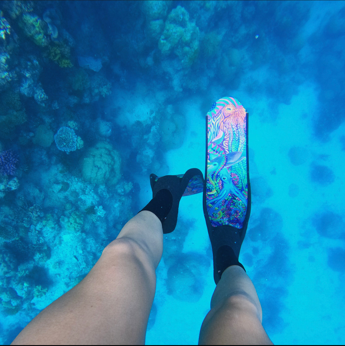 free diving and spearfishing on the great barrier reef