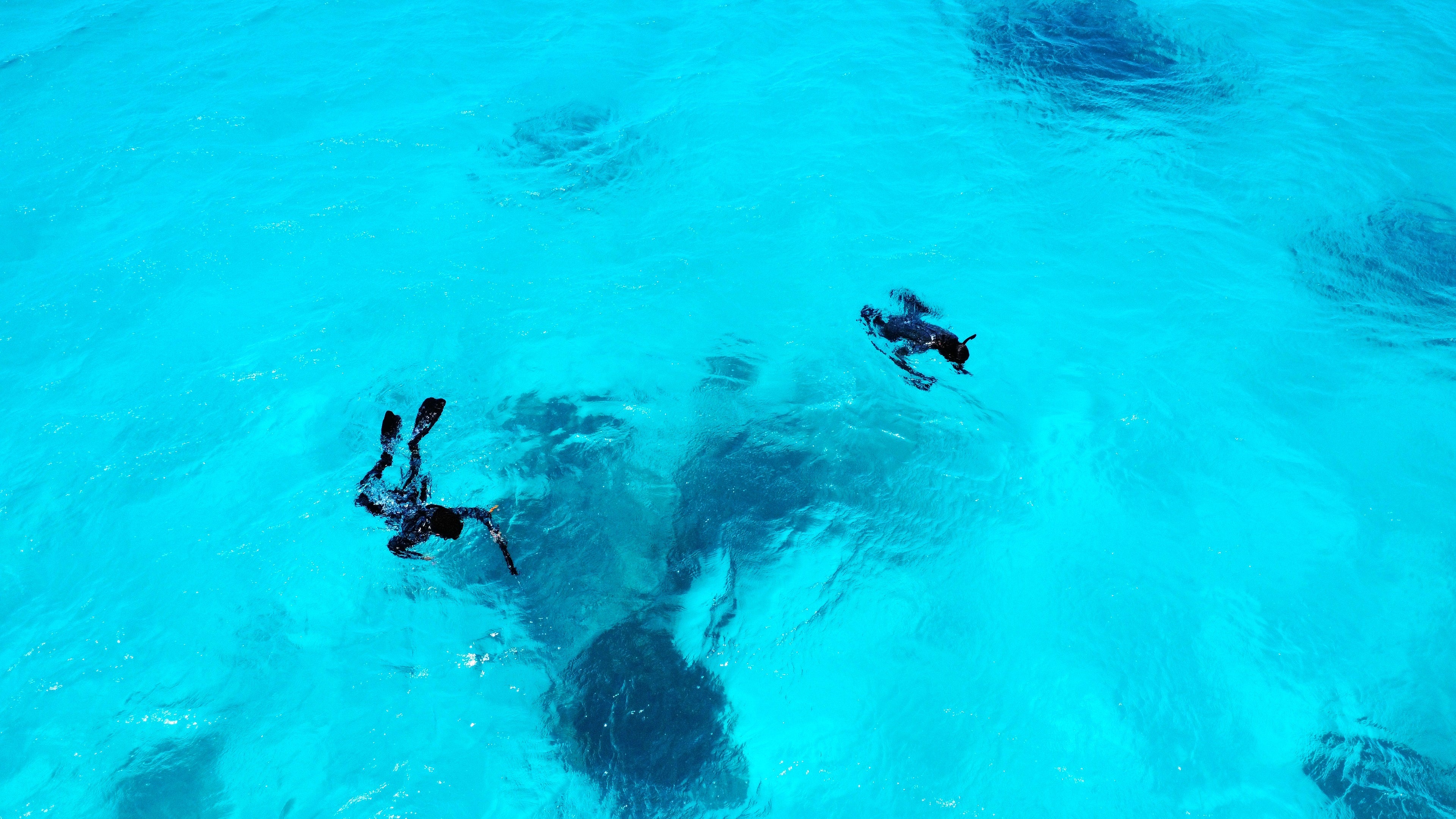 best spearfishing and diving in Australia the clearest water and lots of fish