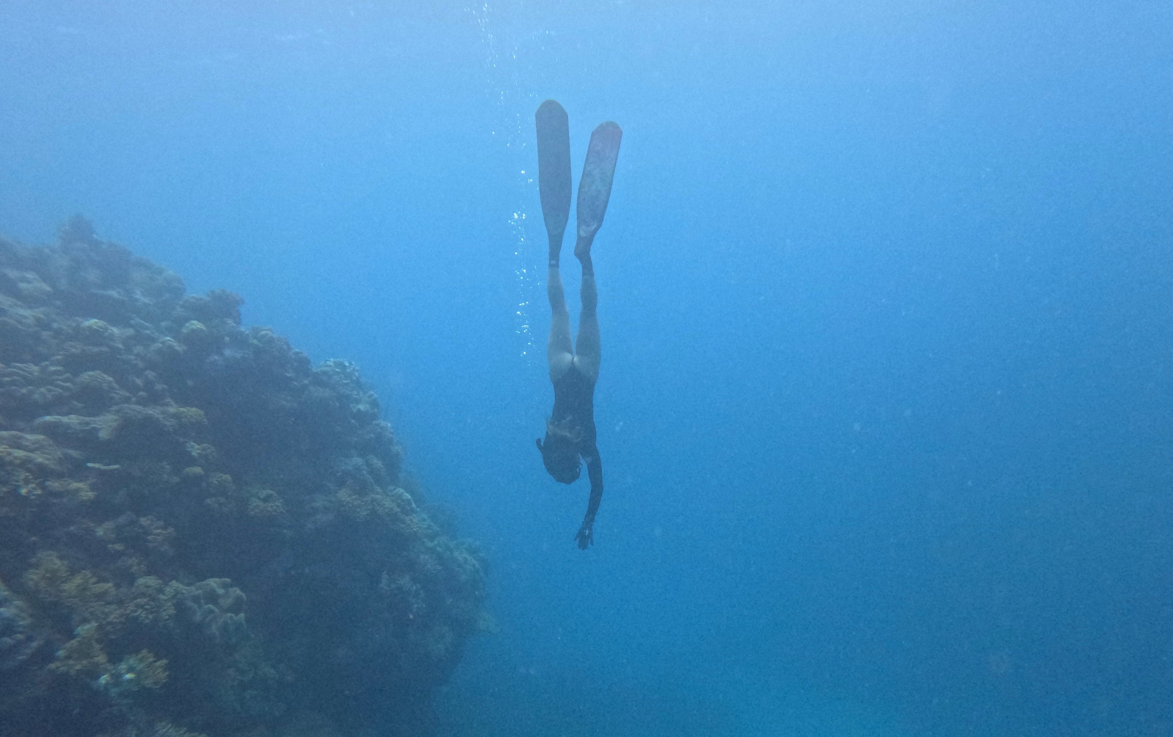 remote great barrier reef fishing and spearfishing for coral trout